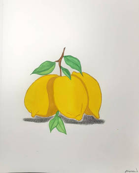 Lemons Watercolor Painting 