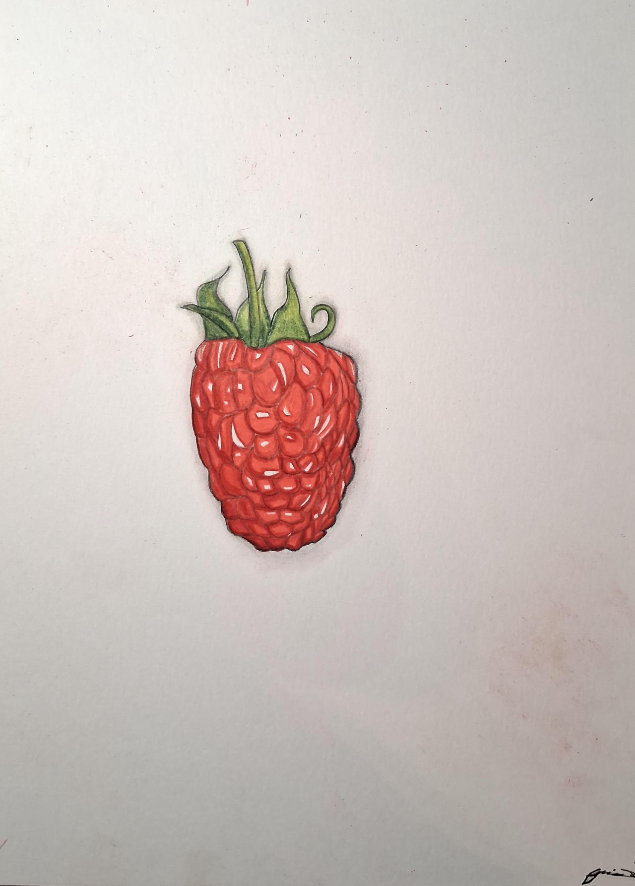 Raspberry Drawing by LonelyArtistStudios on DeviantArt