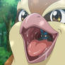 Snack time for pidgey
