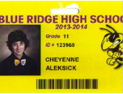 Hey look, my HS ID I are special