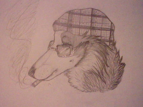 Stoner Collie