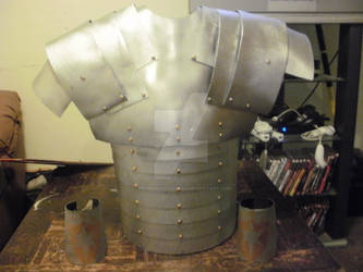 Armor Suit Back View