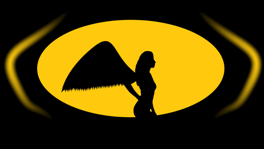 Batman/Maximum Ride Logo by ShadedCracken on DeviantArt
