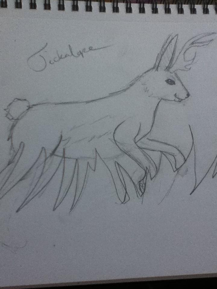 Jackalope