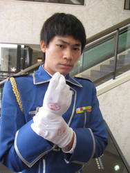 Roy Mustang ID