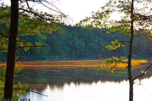 Looking Out on the Lake