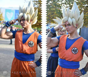 Best Photobomb: Dragon Ball Son Goku Gohan Cosplay