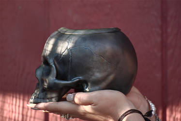 Ceramic Skull