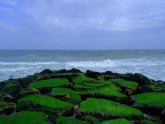 The Jetties