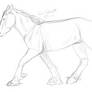 Clydesdale {Request}