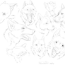Wolves. {Head Sketches}