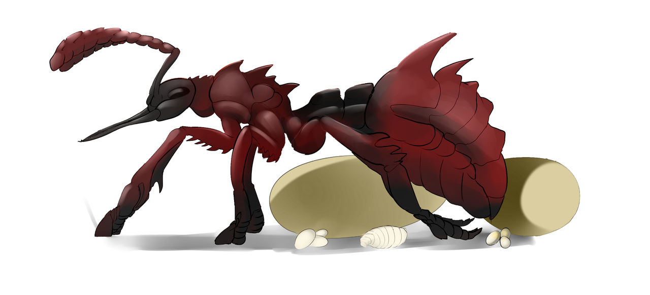 Ant Deviantart Fantasy Ant Commission by AkityMH on DeviantArt
