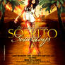 Sofrito Sat New Flyer