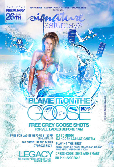 blame it on the goose flyer