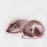 Two Brown Mice001