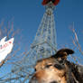 Ameri-canine in Paris