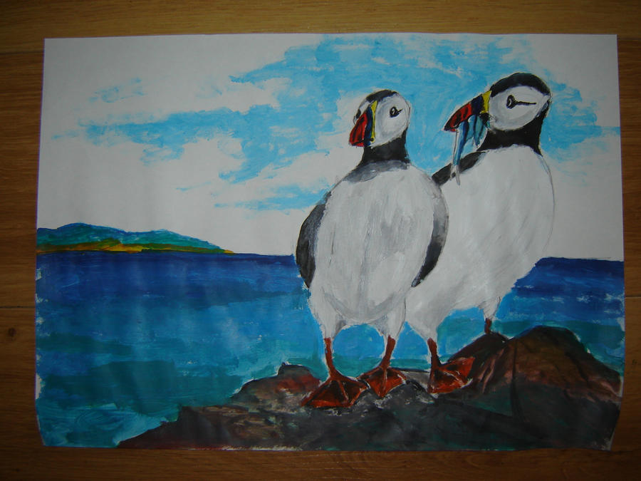 Puffins