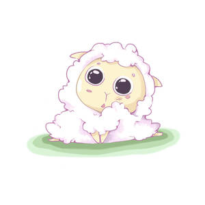 Kute sheep