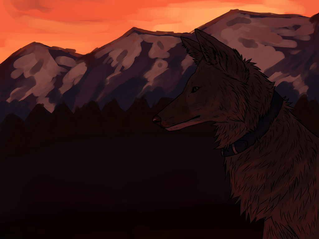 Sunset -Commission- by nihtgield