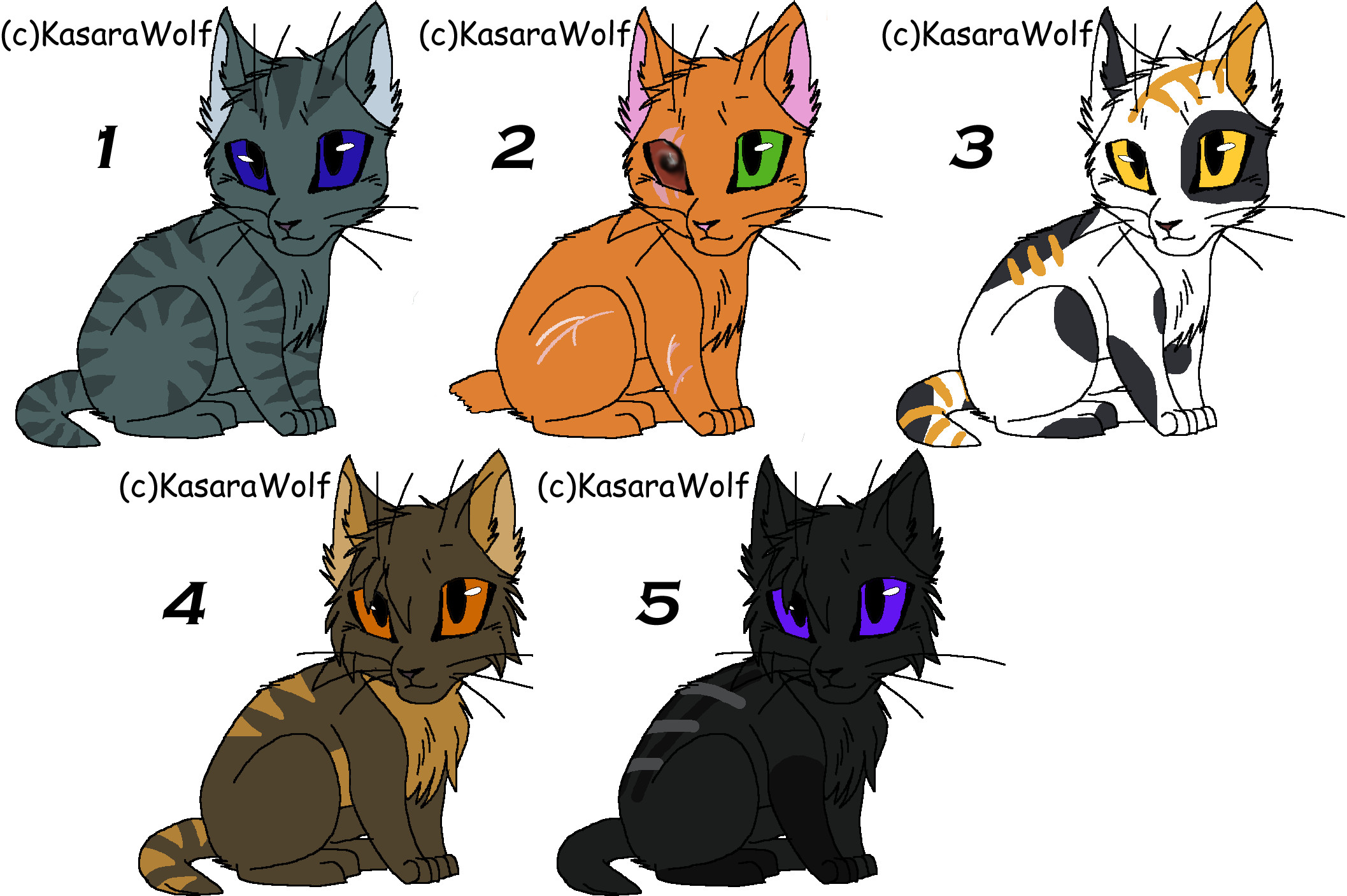 Cat Kit Rust Warrior Cat Kits