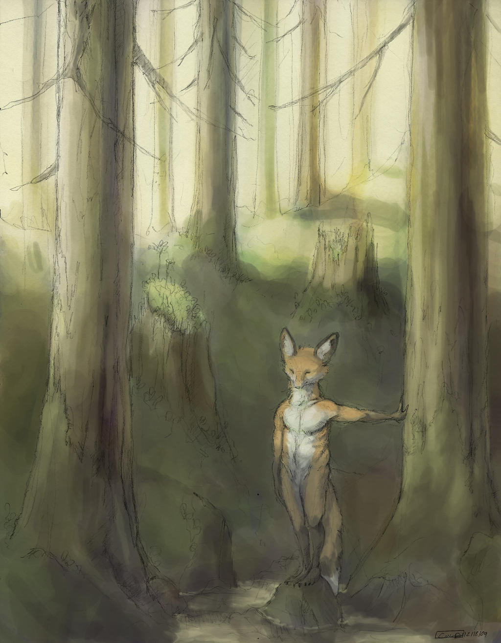 A Fox of the Forest Children