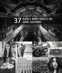 Black and White presets for Lightroom