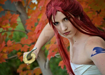 Erza Scarlet Fairy Tail Cosplay