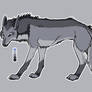 Design Contest Gray Wolf