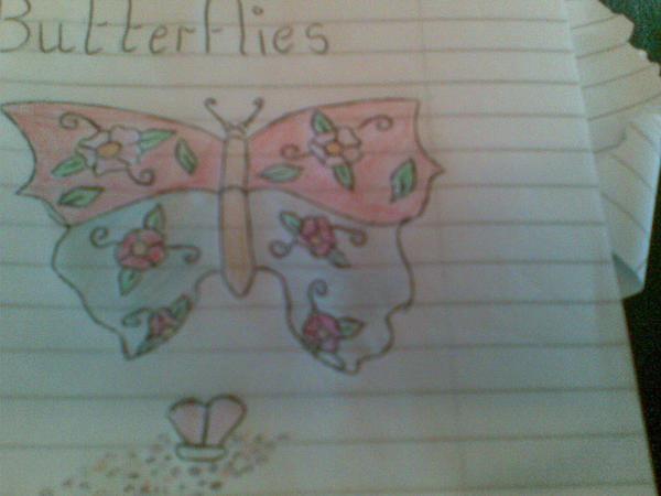 pretty butterfly