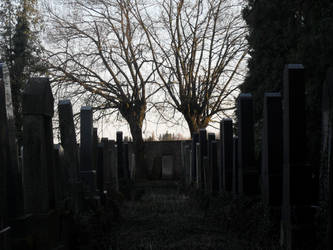 Cemetery after winter