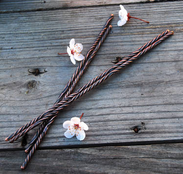 Rustic Twist Hairsticks