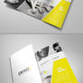 Unique Tri Fold Brochure