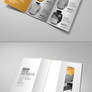 Apparel Tri-Fold Brochure