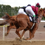 Horse Racing 1