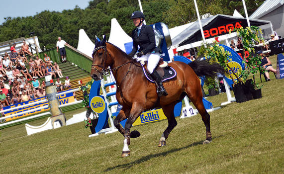 Show Jumping 26