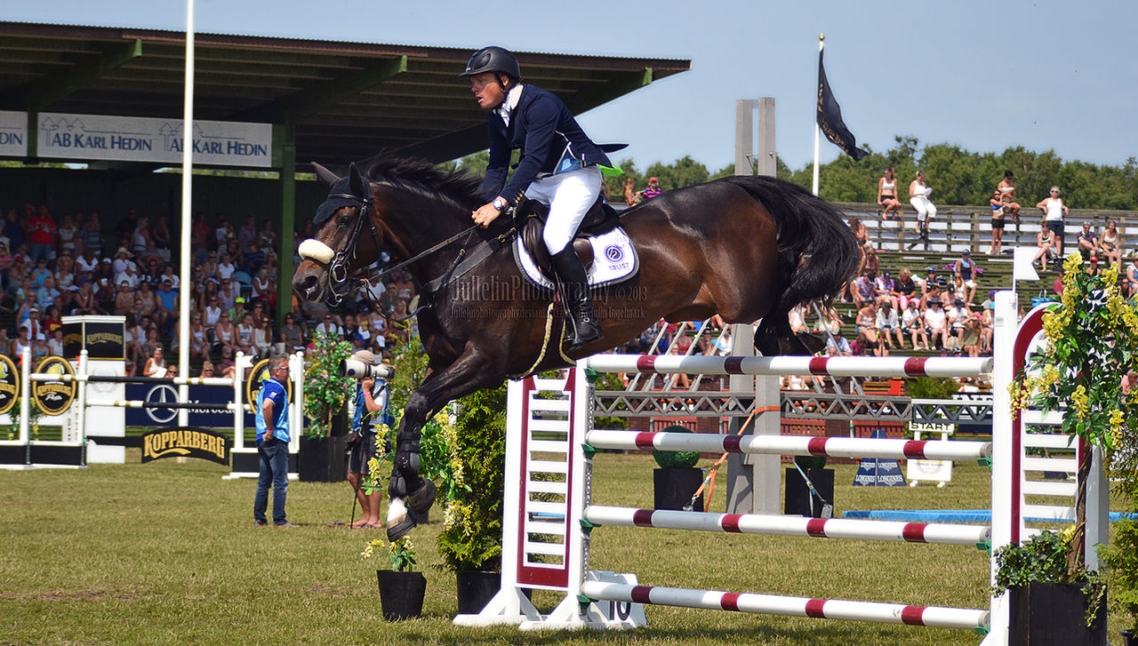 Show Jumping 43