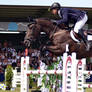 Show Jumping 57