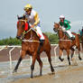 Horse Racing 69