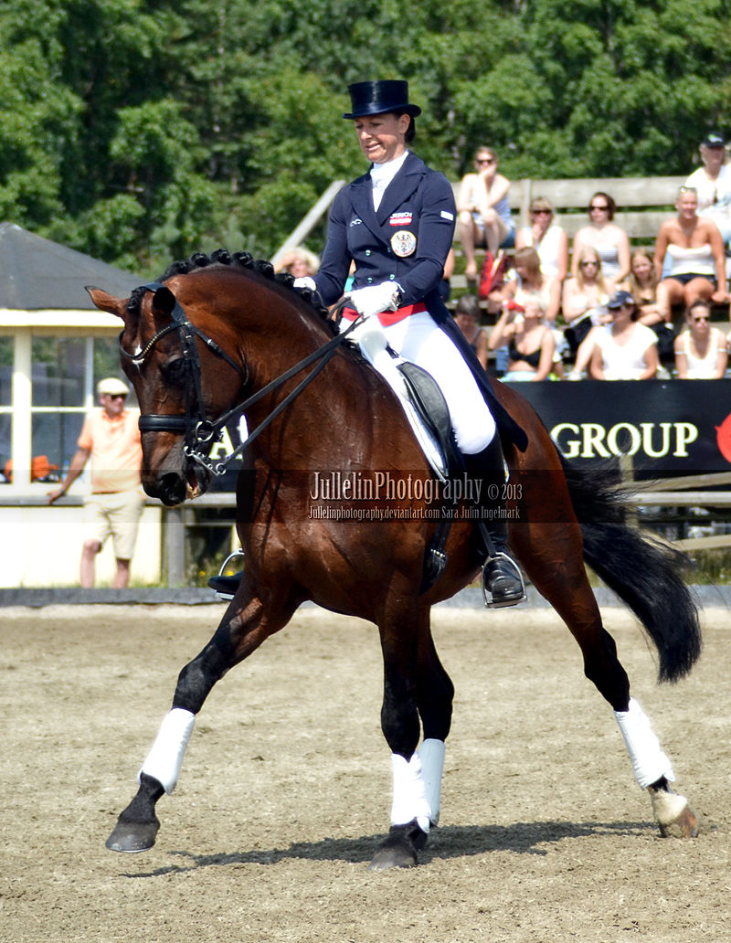 Dressage 22