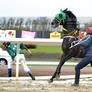 Horse Racing 130