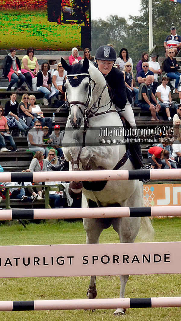 show jumping 109