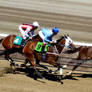 Horse Racing 242