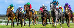 Horse Racing 410 by JullelinPhotography