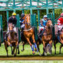 Horse Racing 451