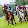 Horse Racing 616