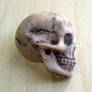 Anatomical skull pin