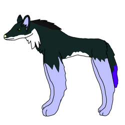 Free Maned Wolf Adopt (Closed)