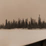 Bridge Over Columbia in Winter