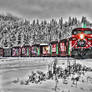 CP Holiday Train in Golden BC
