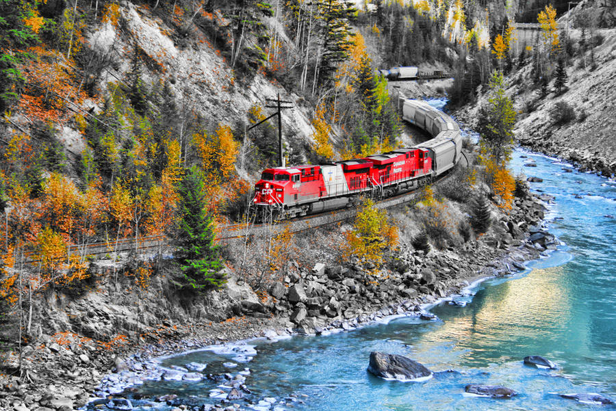 Train in the Canyon